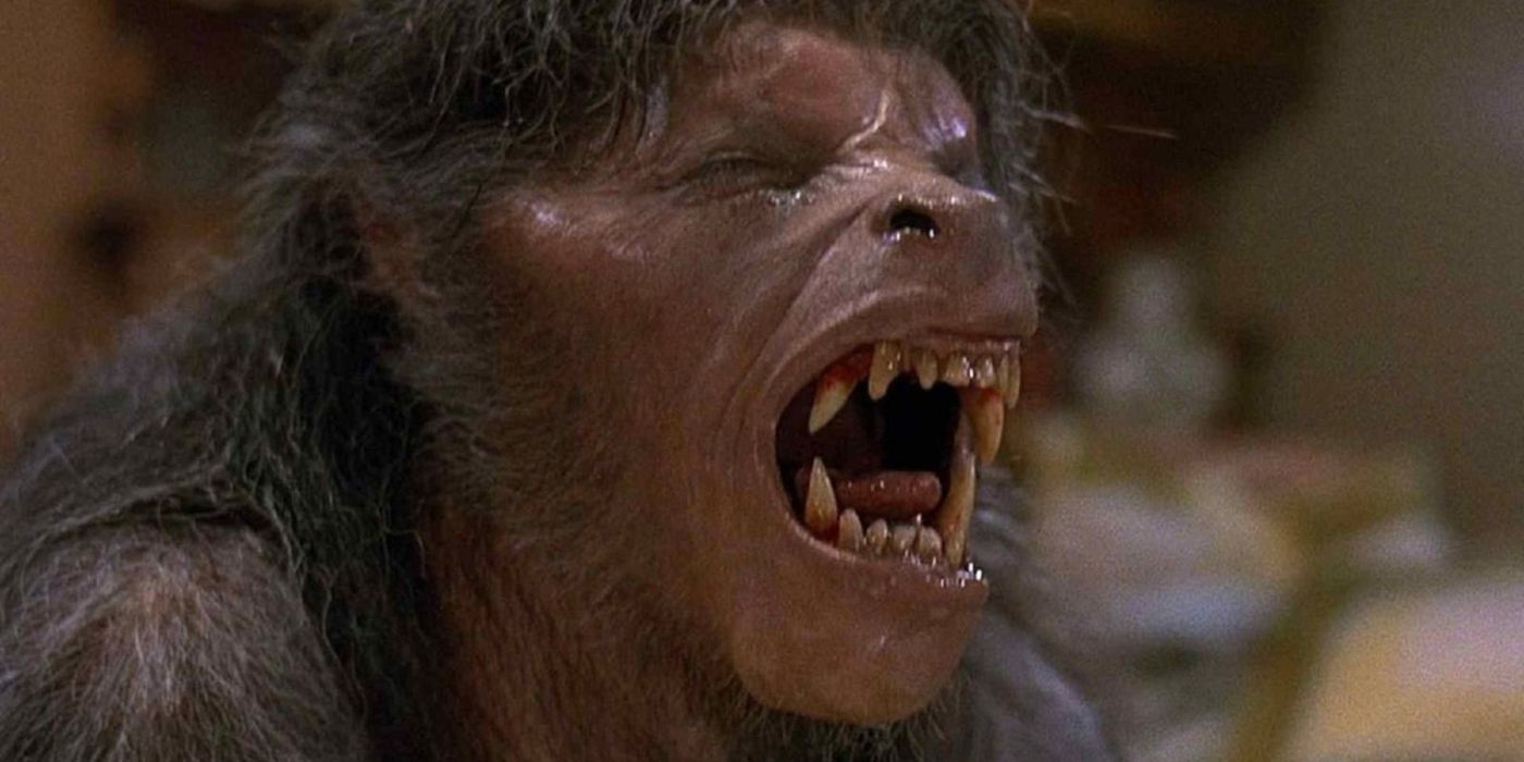 David Naughton as David Kessler in the painful werewolf transformation scene in 'An American Werewolf in London.'