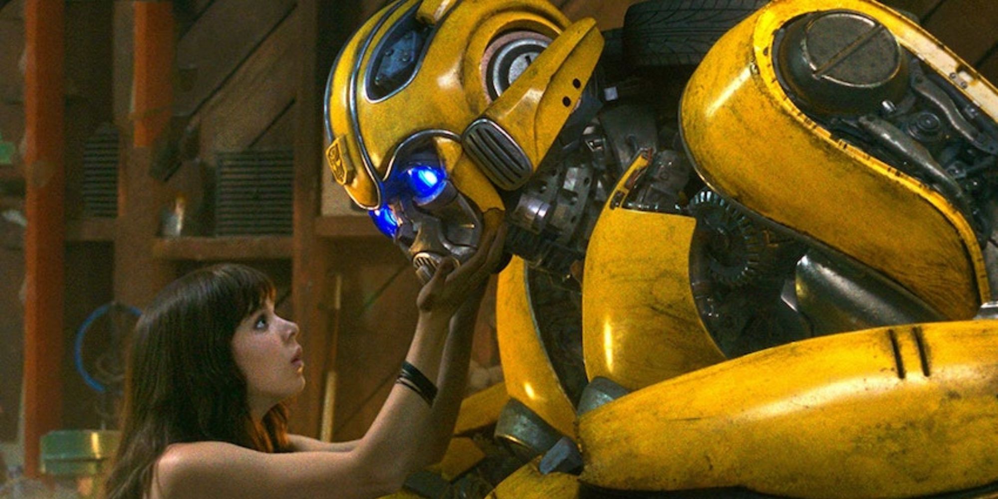 Charlie takes care of Bumblebee.