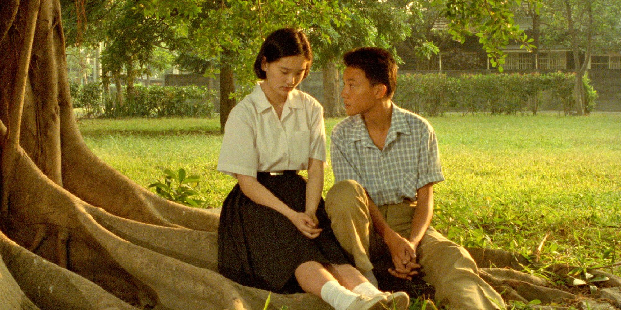 Chang Chen regarde Lisa Yang alors qu'ils sont assis sur une branche d'arbre dans ''A Bright Summer Day''.
