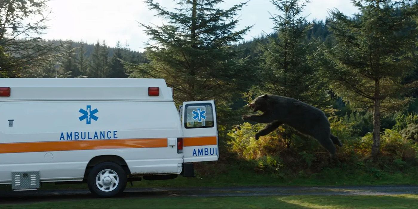 Un ours noir qui poursuit une ambulance dans Cocaine Bear.