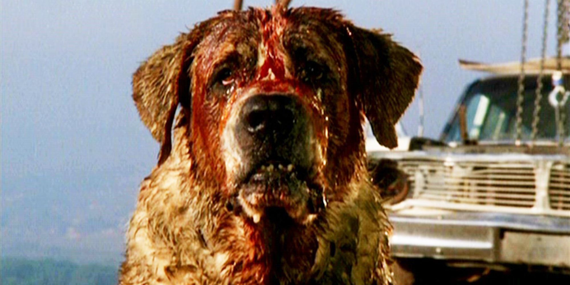 Cujo is covered in blood in 'Cujo'