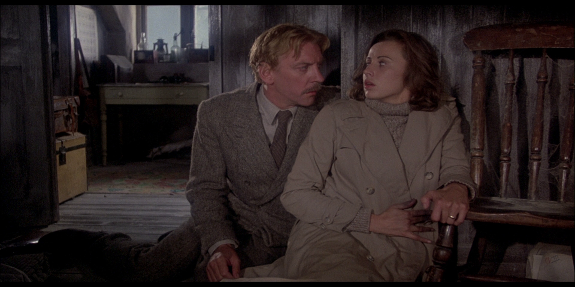 donald sutherland and kate nelligan in eye_of_the_needle_
