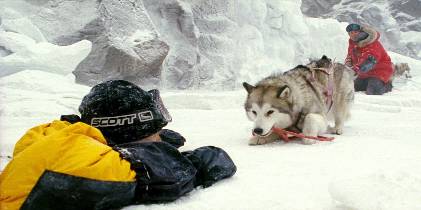 Un chien Husky aidant un homme dans Eight Below