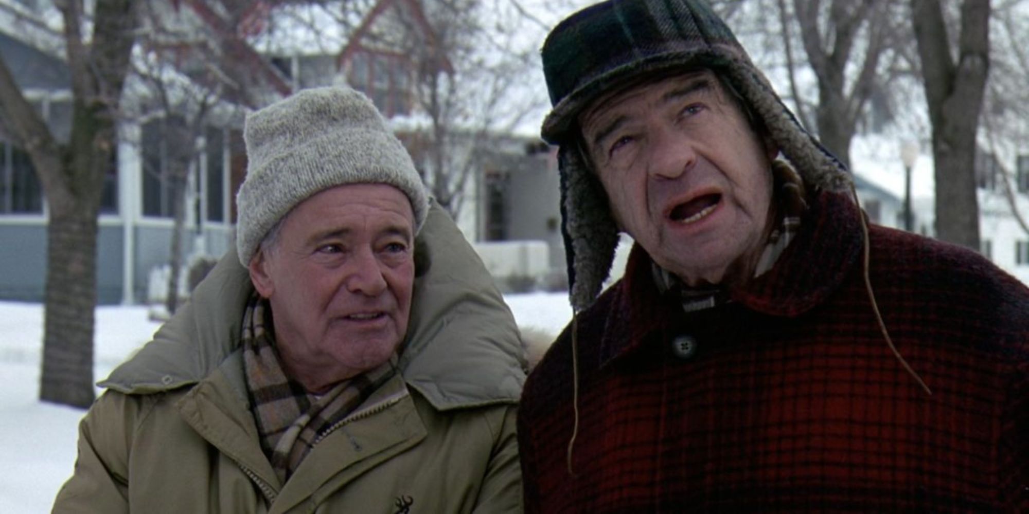 Le vieux grincheux (1993) (1)