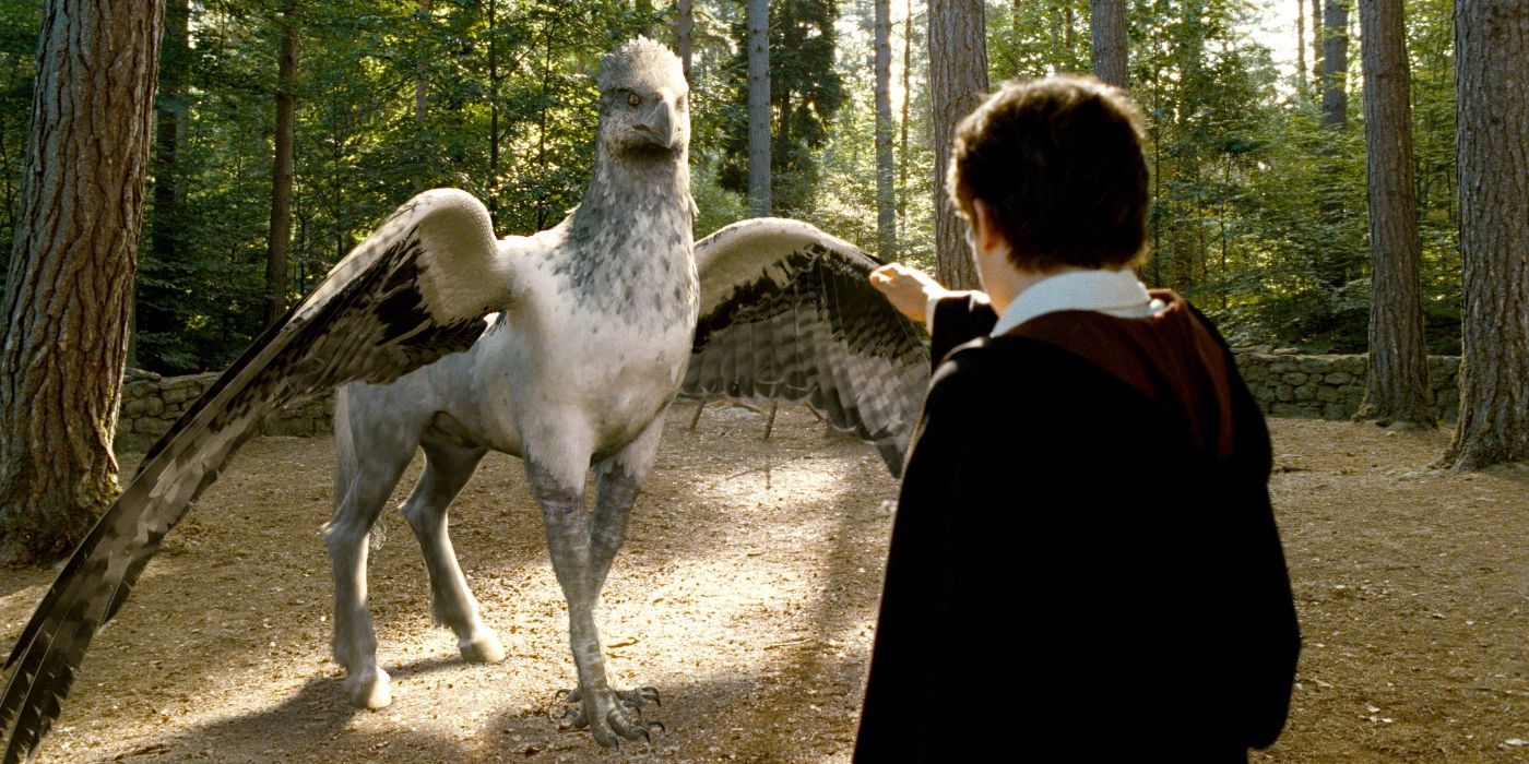 Harry and a Hippogriff from Harry Potter and the Prisoner of Azkaban