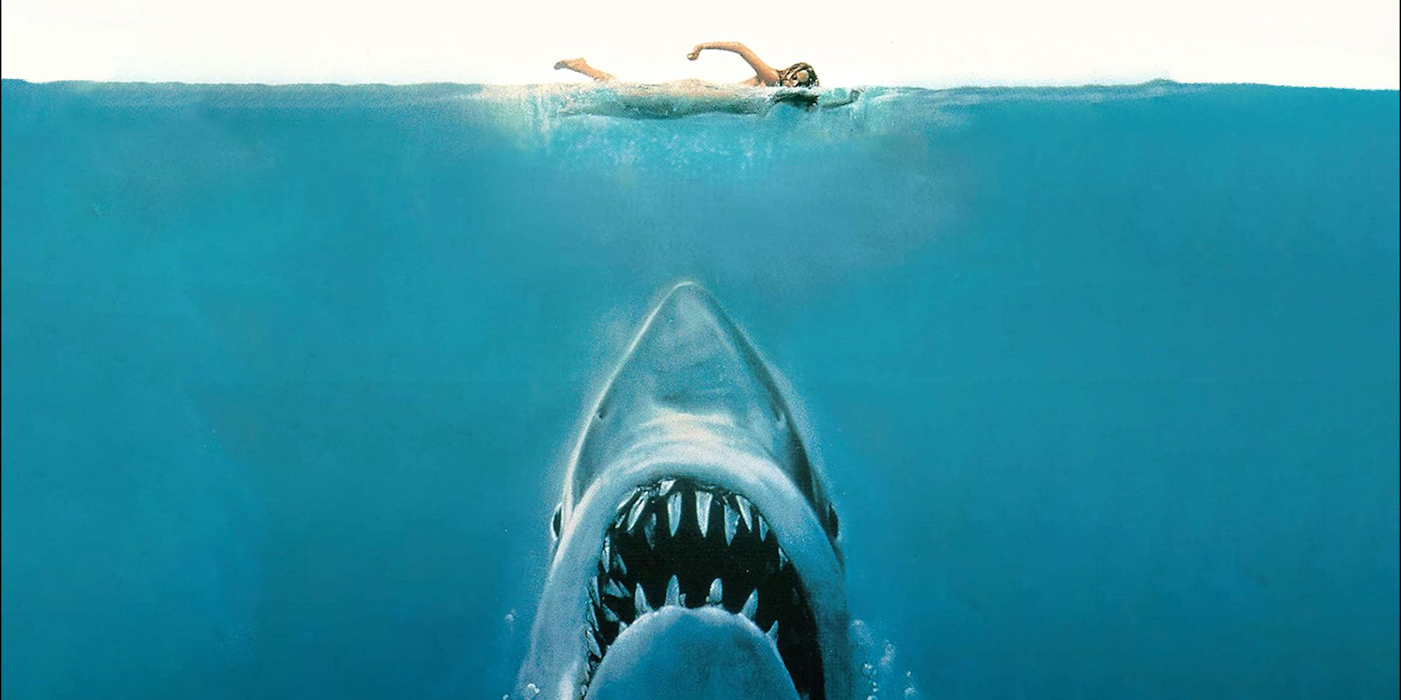 The shark approaching a swimmer in the poster for Jaws.