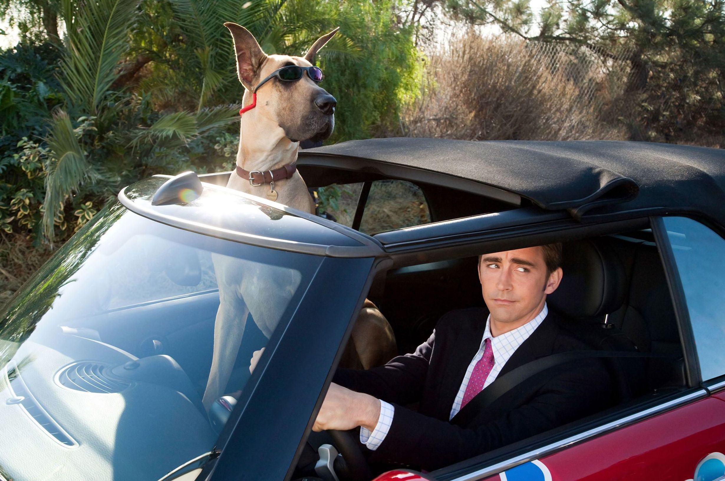 lee pace en voiture avec un chien dans marmaduke