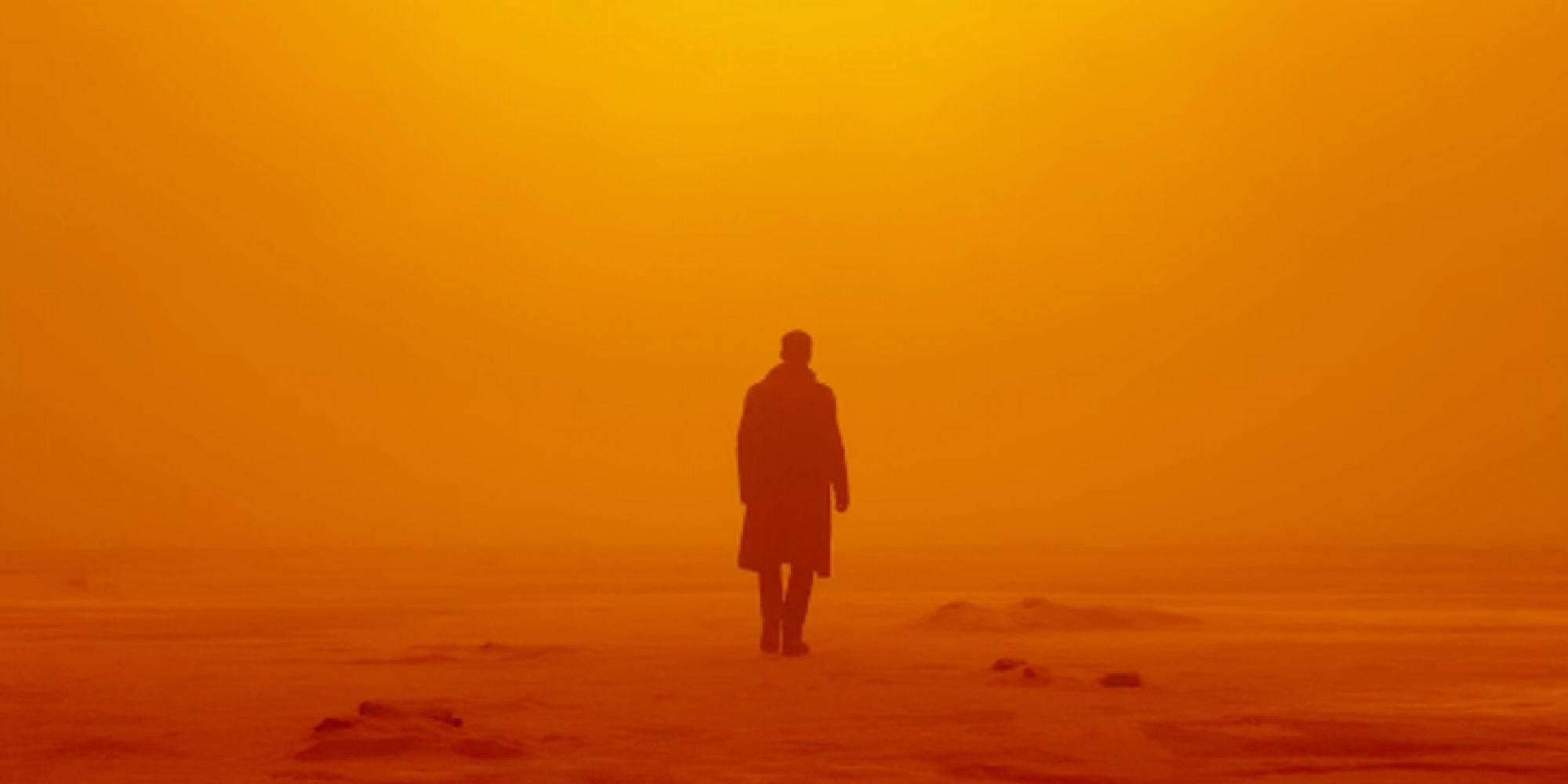 Ryan Gosling's shadow in the middle of nowhere in Blade Runner 2049
