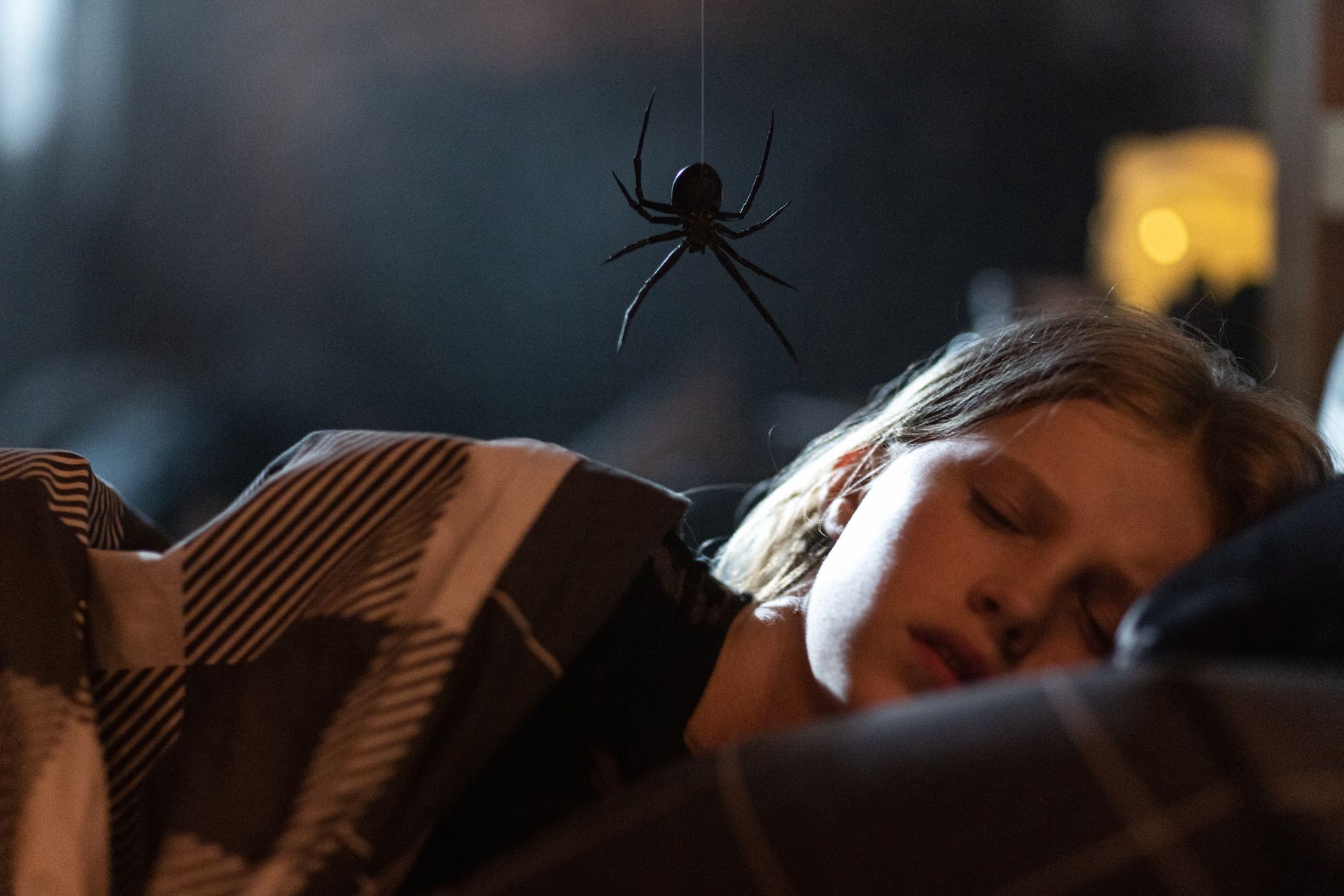 'Sting' Image Shows a Bloodthirsty Spider's Friendship With a Young Girl