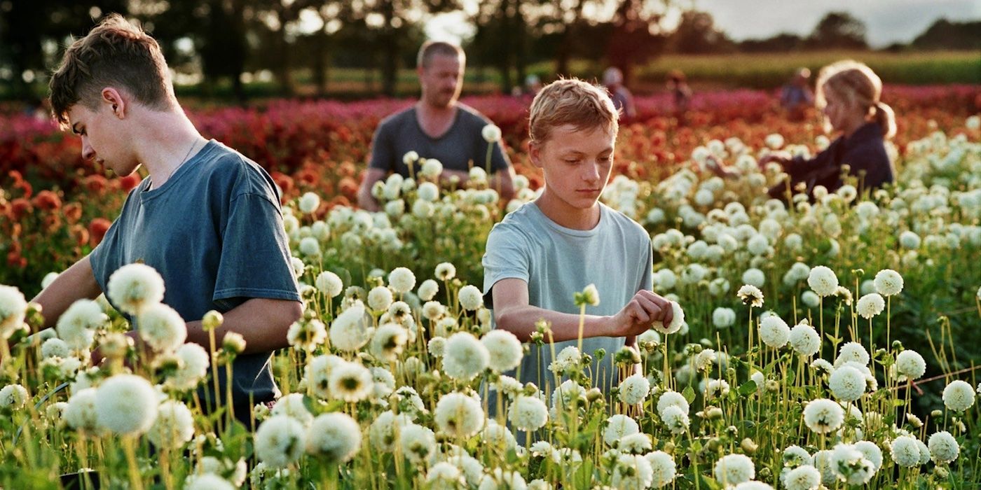 Enfants cueillant des fleurs dans un champ à Close (2022)