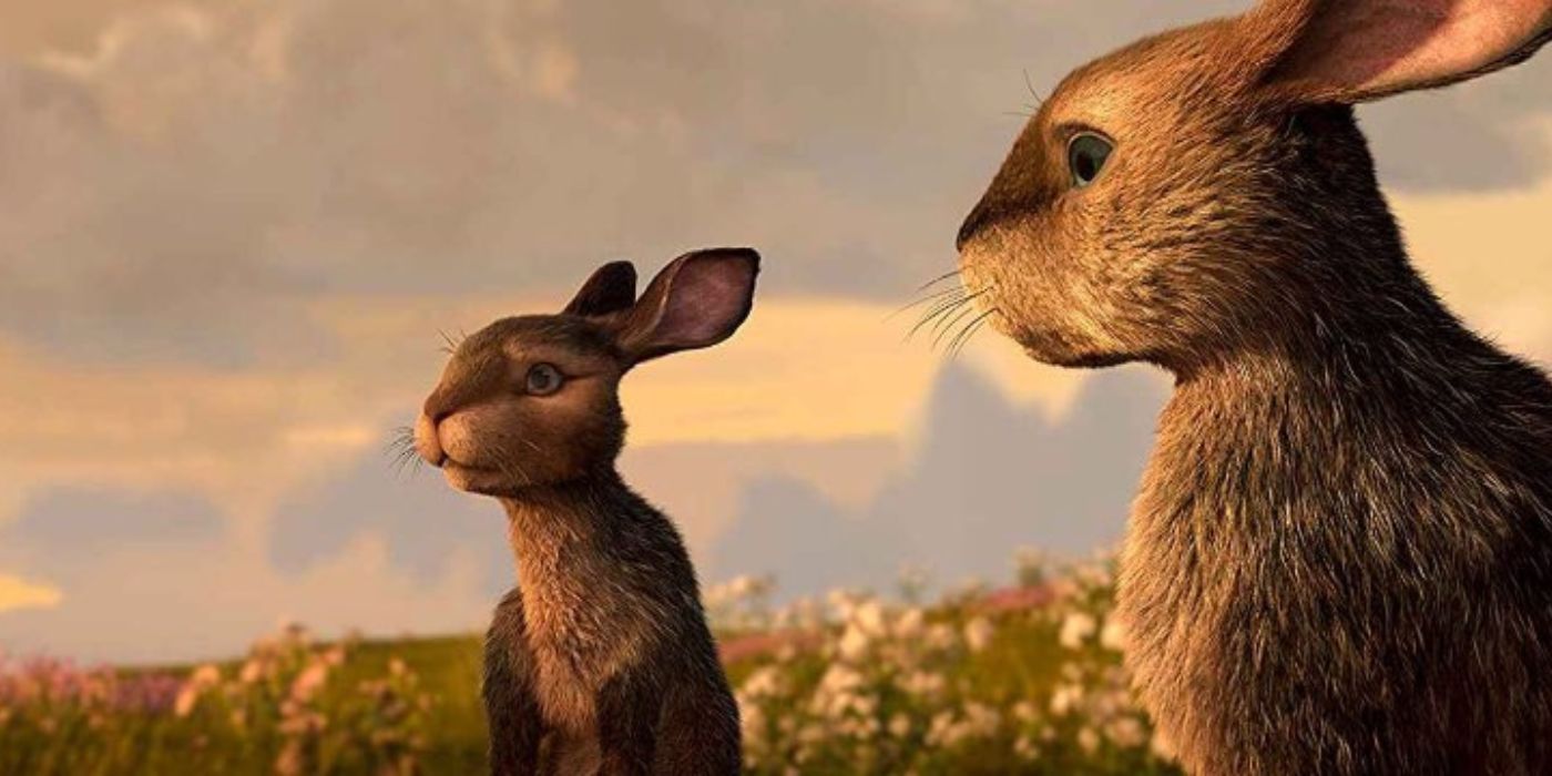 Two rabbits in the field at Watership Down