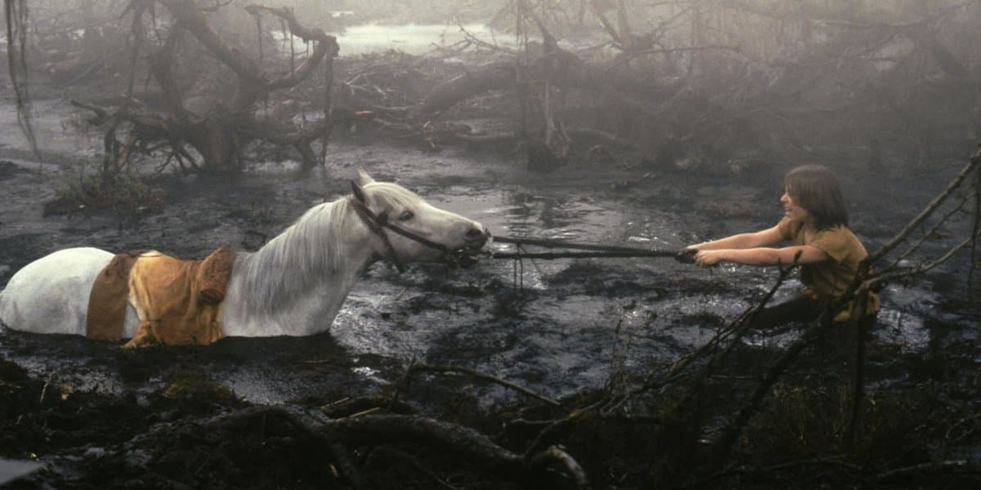 a kid trying to save Artax the horse from drowning in a lake of black goo in 'The NeverEnding Story'