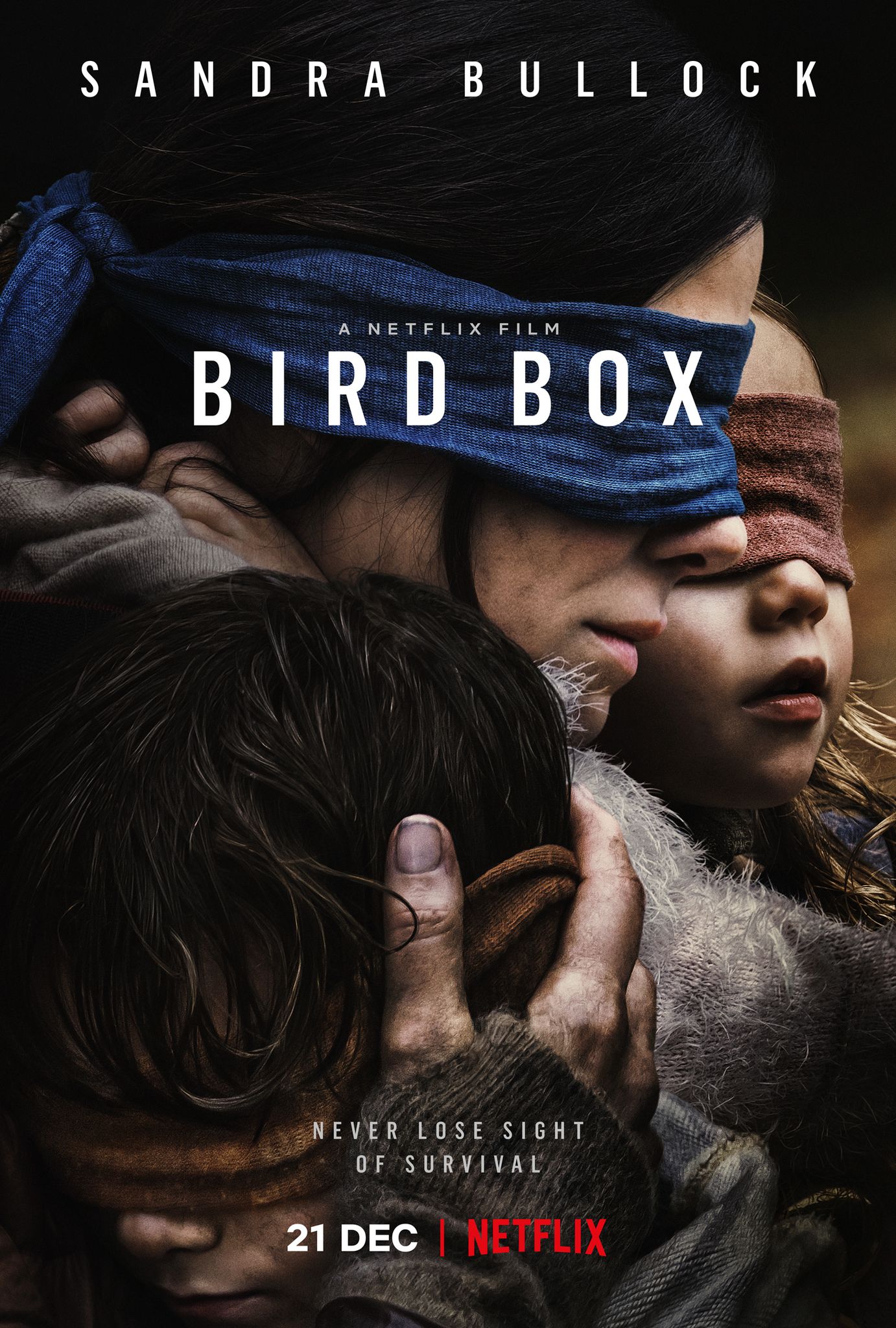 Bird Box Netflix Poster