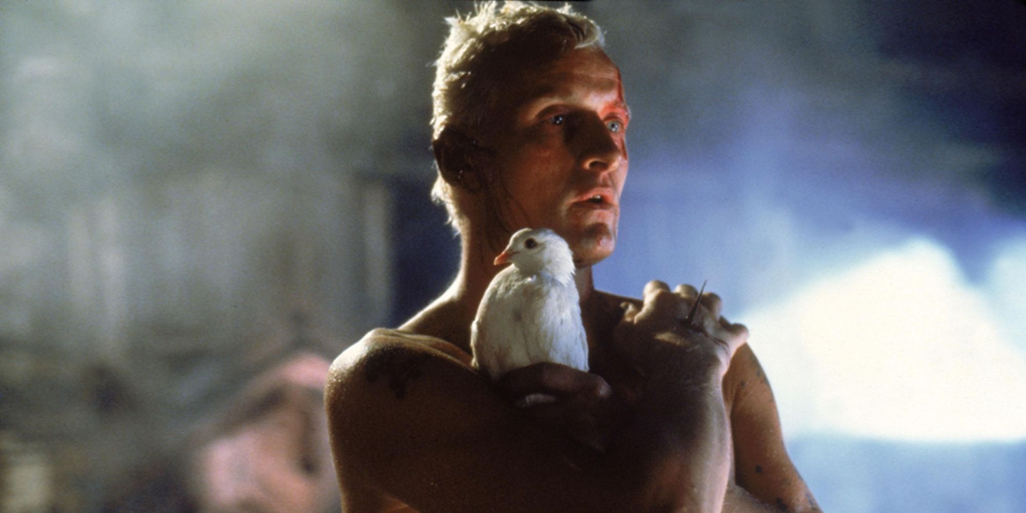 Rutger Hauer with a bird on his arm in Blade Runner