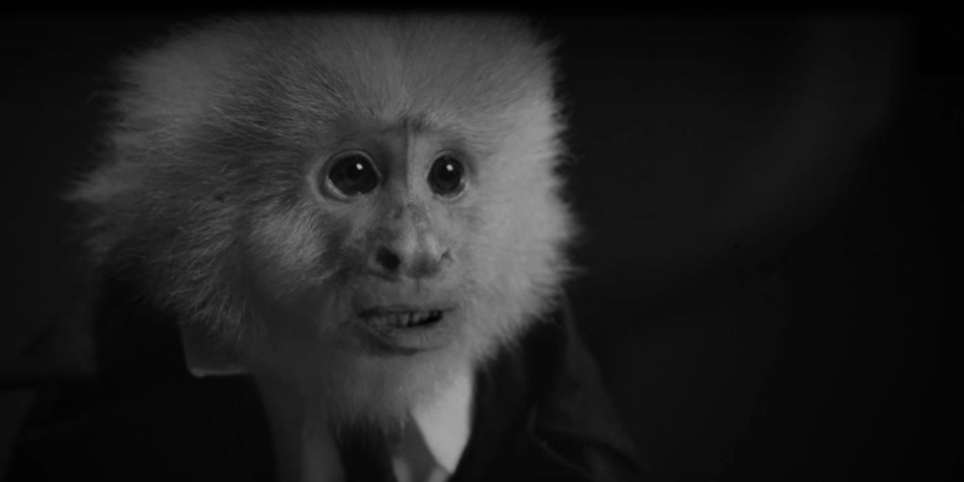 Monkey in David Lynch's What Did Jack Do?