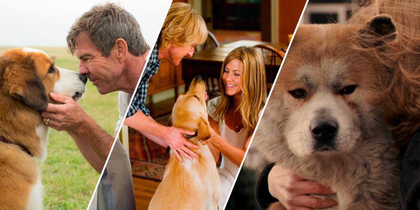 The 10 Saddest Dog Movies, Ranked