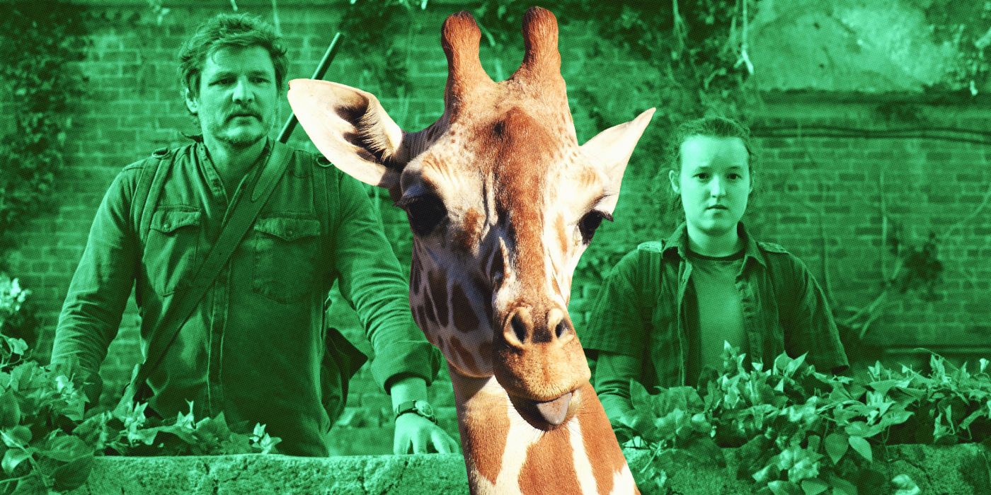 Last Of Us Show Used Real Giraffe To Recreate Iconic Game Scene