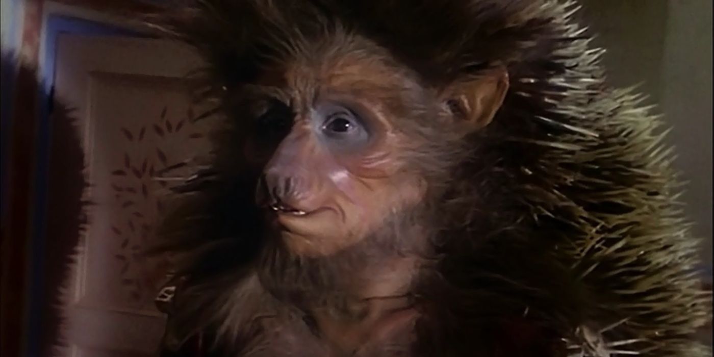 The hedgehog in Jim Henson's The StoryTeller episode Hans My Hedgehog