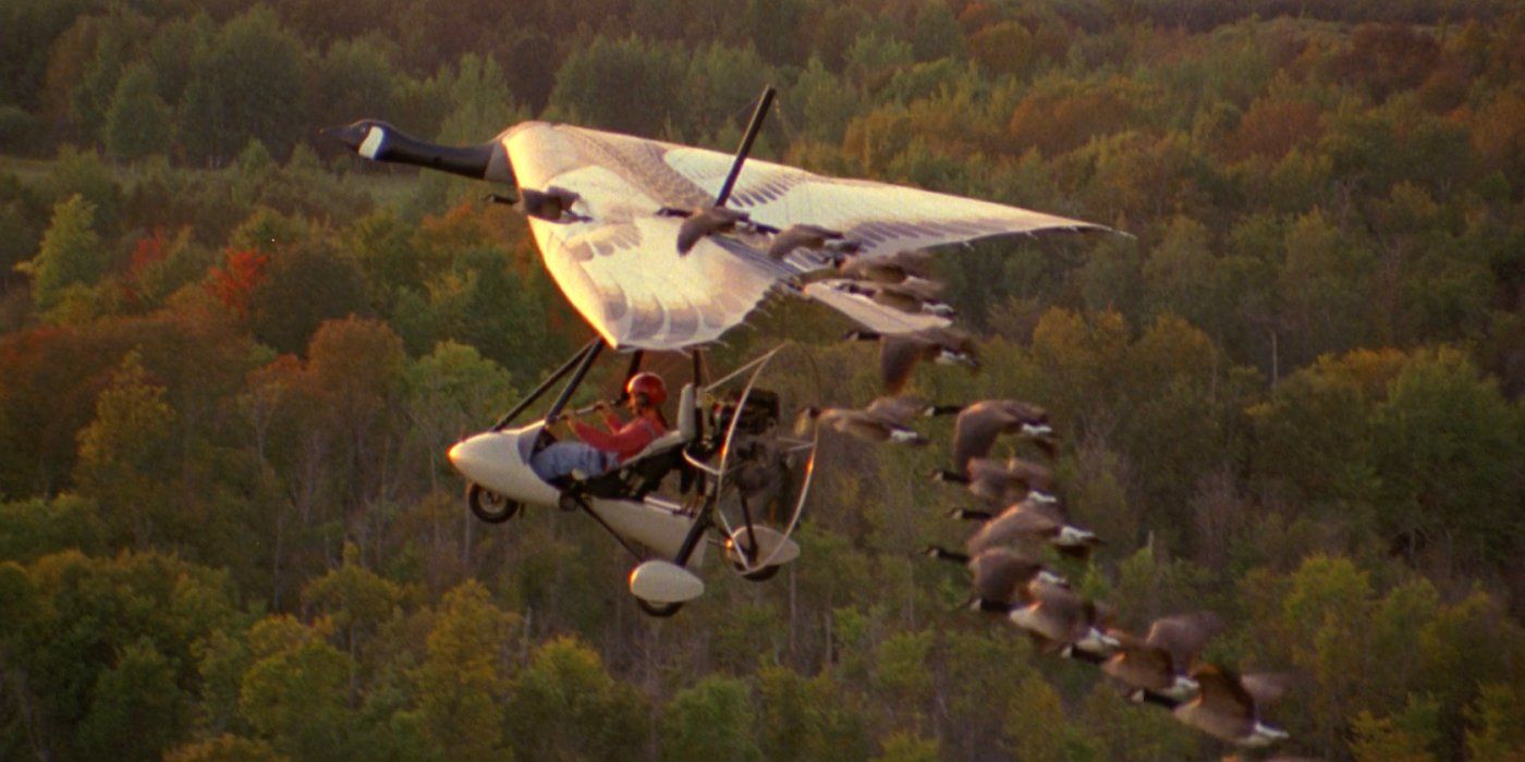 fly_away_home_still