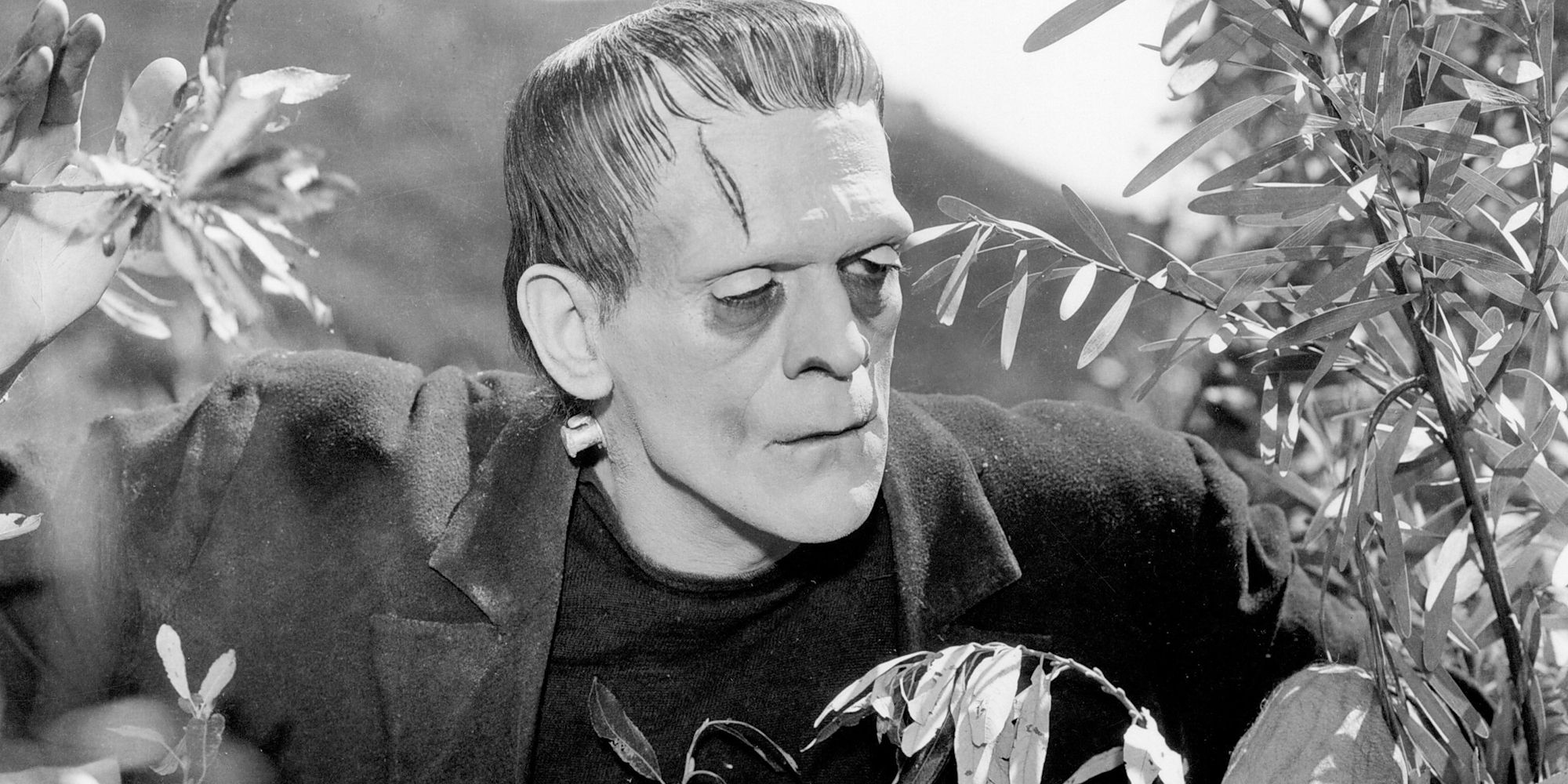 Boris Karloff as Frankenstein