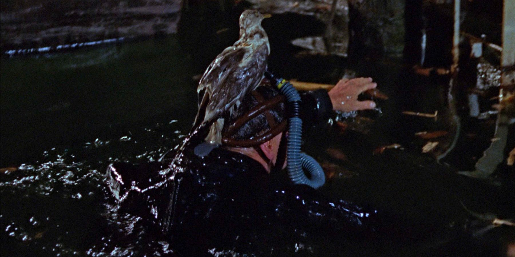 James Bond emerges from the water wearing scuba gear adorned with a seagull prop. 