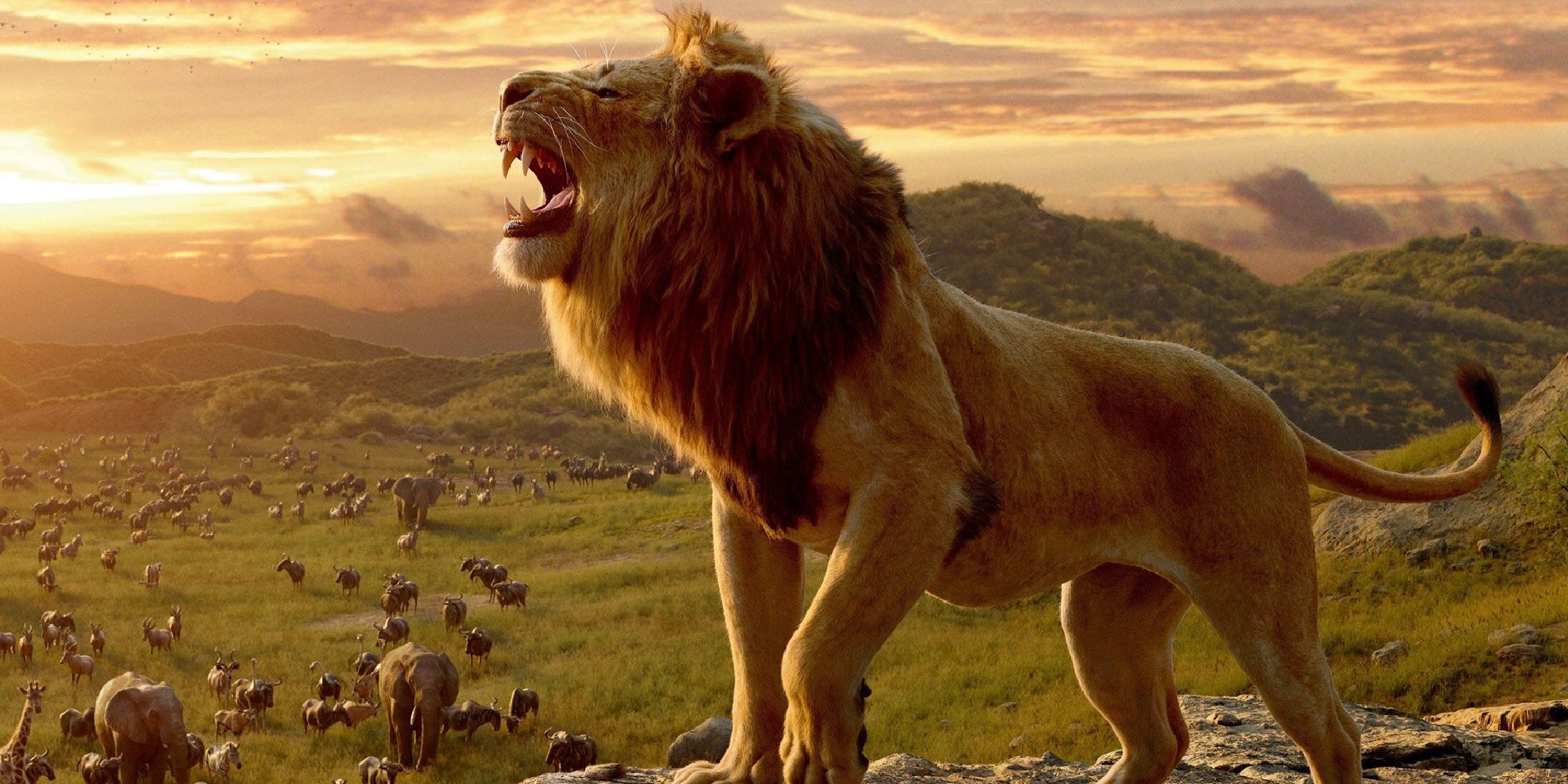 A shot of Musafa rawring in The Lion King.