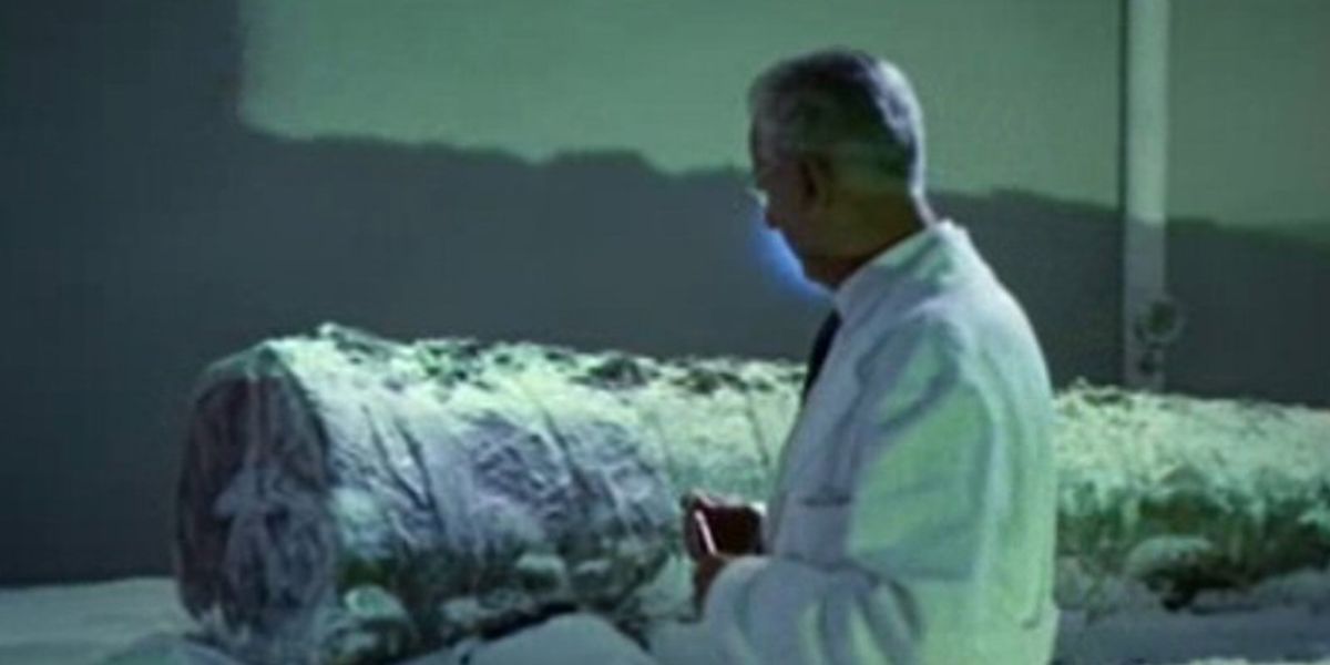 A scientist studies the lizard&rsquo;s tail in Reptilicus