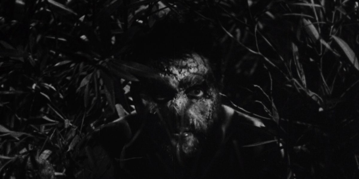 The supposed spider-monster in Horrors of Spider Island lurks