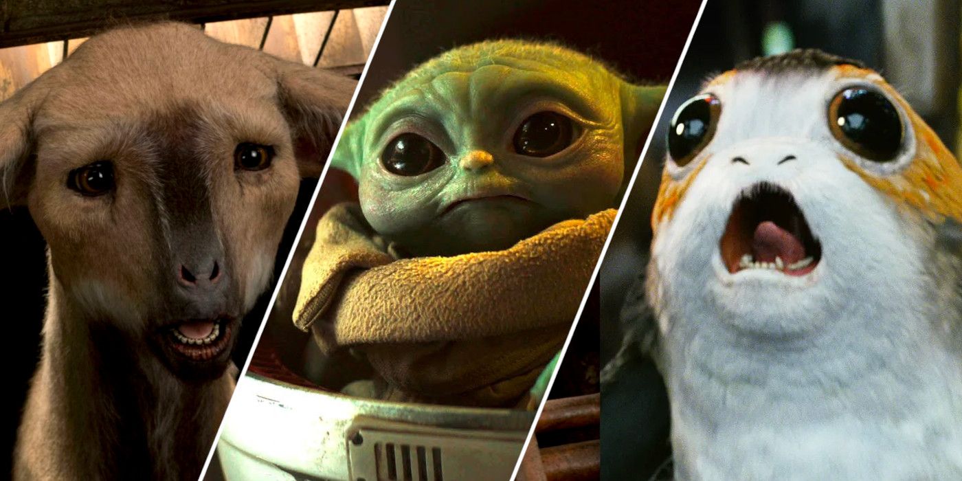 A fathier, Grogu, and a porg in Star Wars