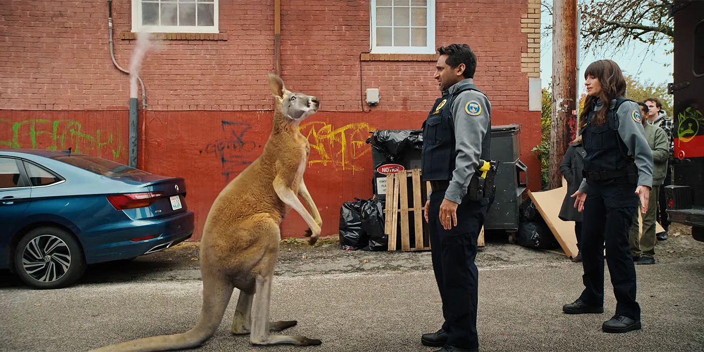 Animal Control Kangaroo