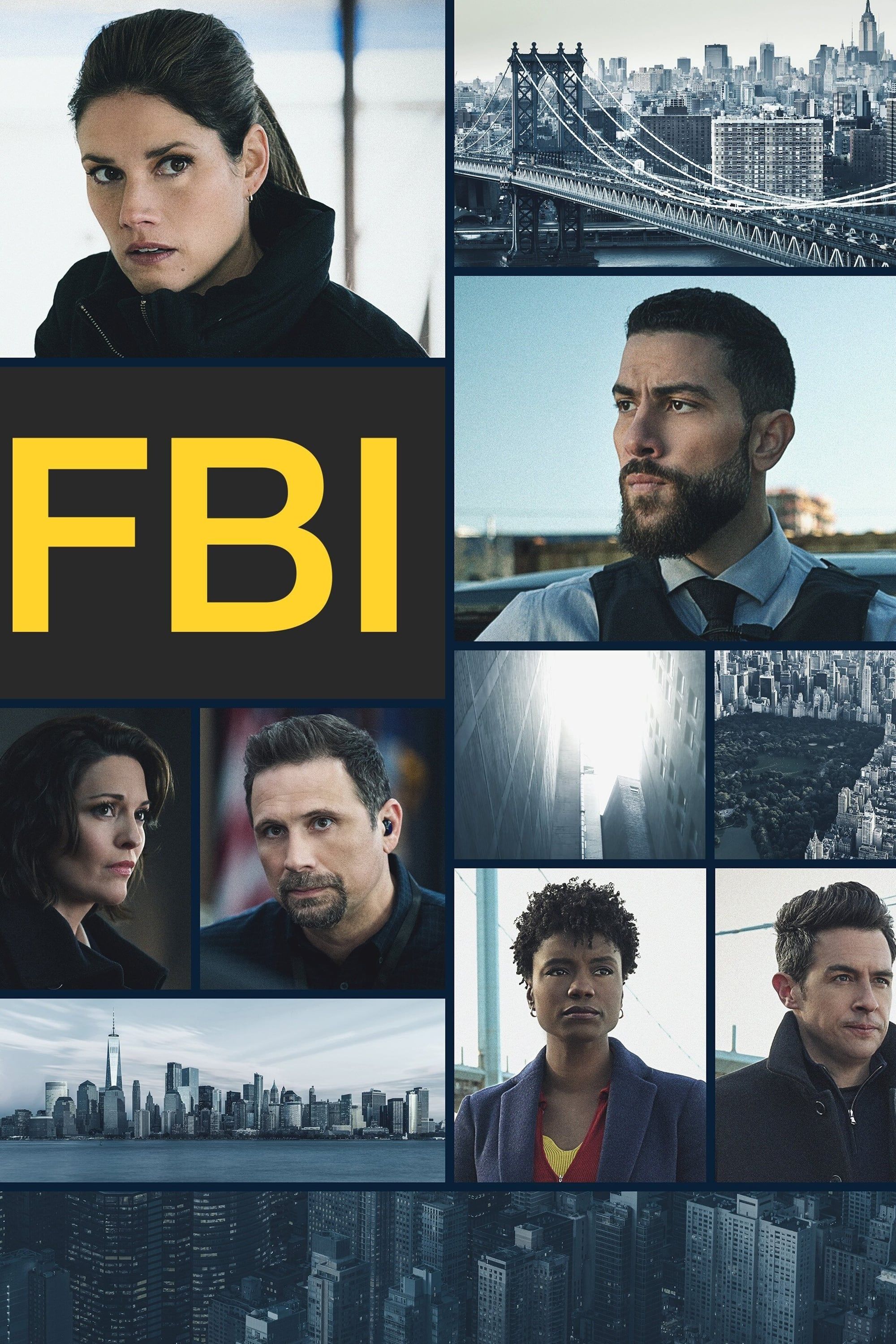 FBI TV Show Poster