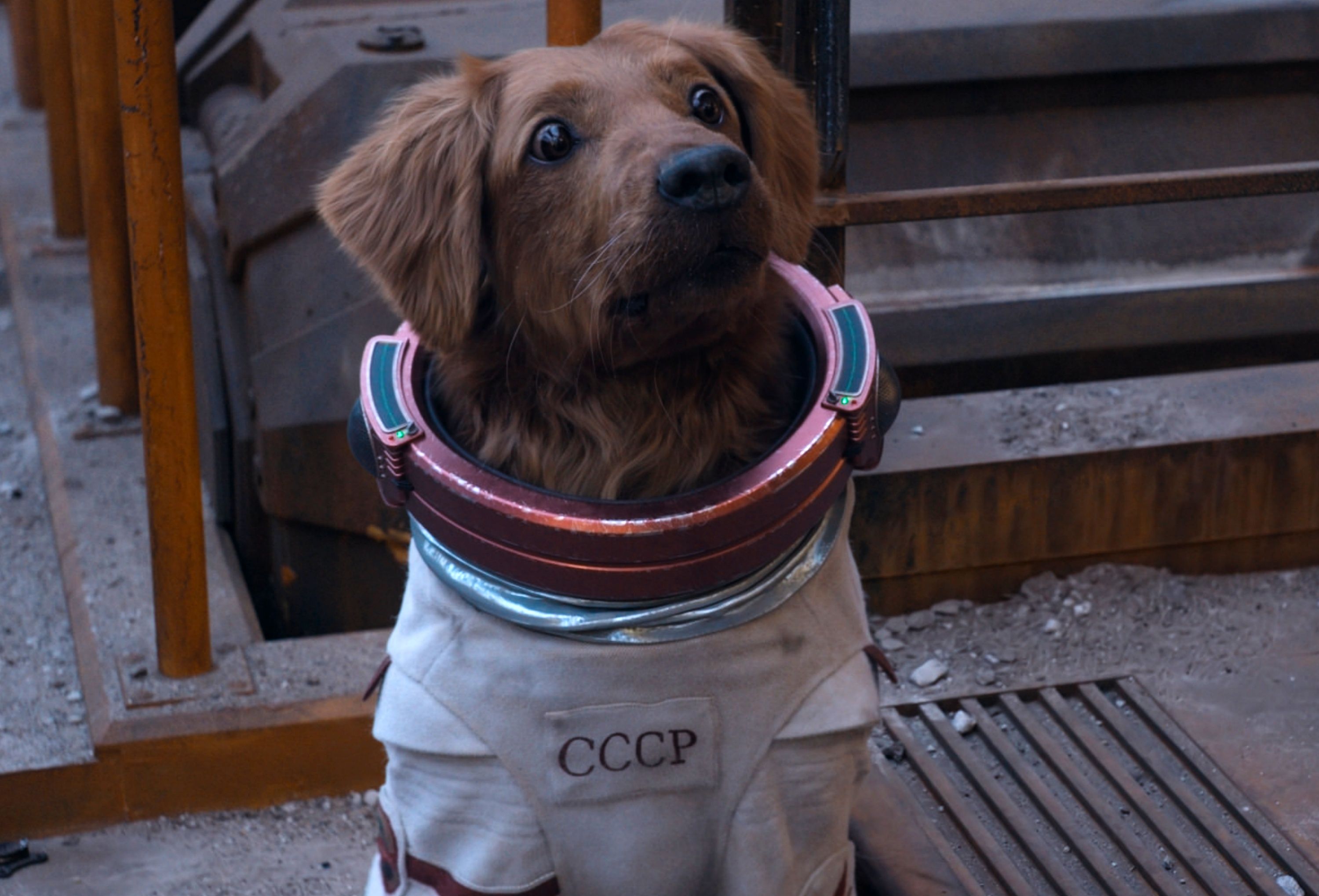Cosmo the Spacedog in Guardians of the Galaxy Vol. 3