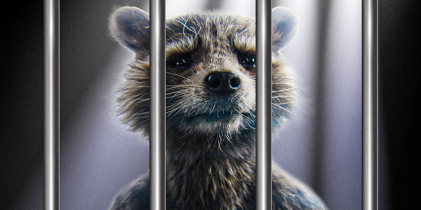 Guardians of the Galaxy 3': How Was Rocket Made?