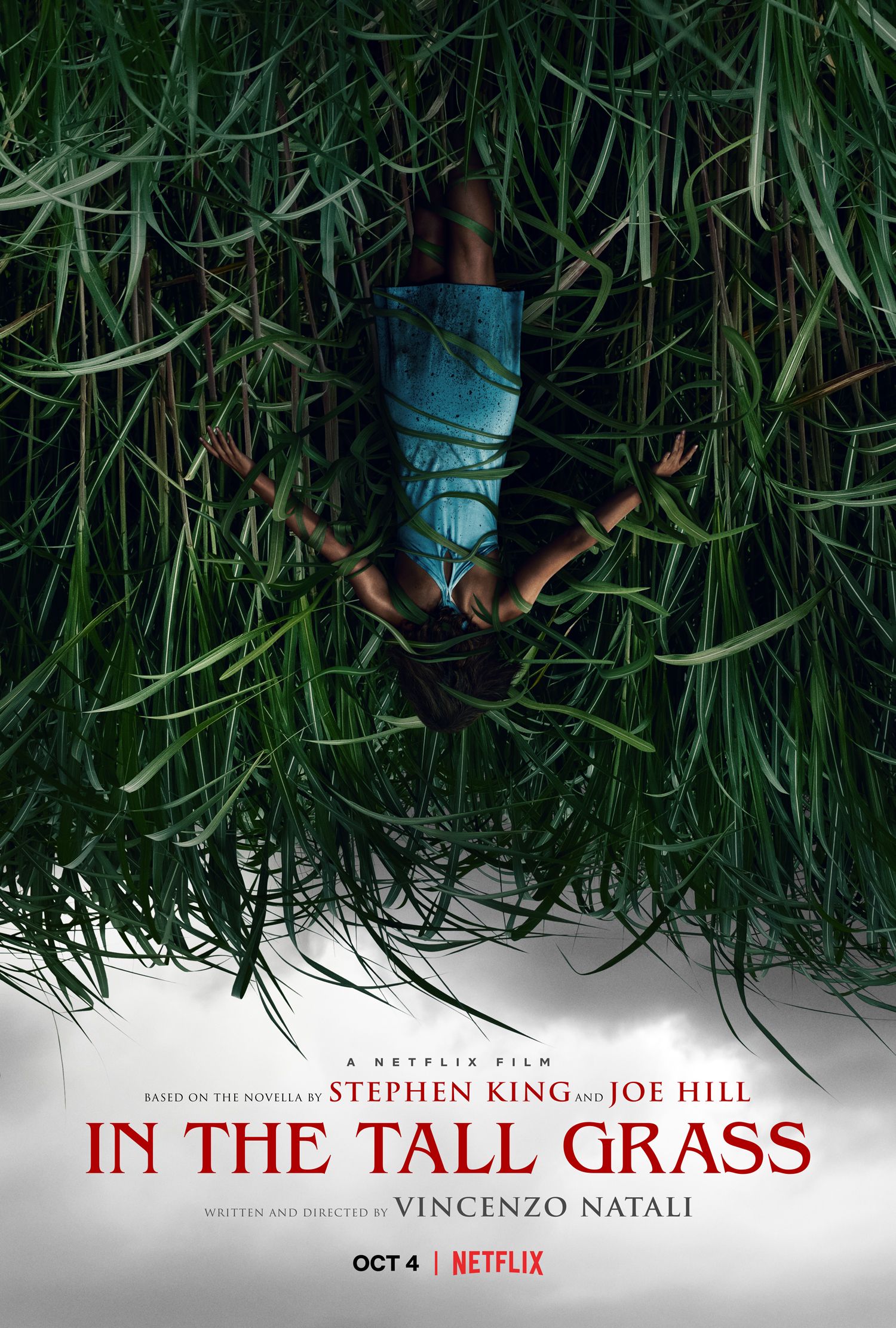 In the Tall Grass Film Poster