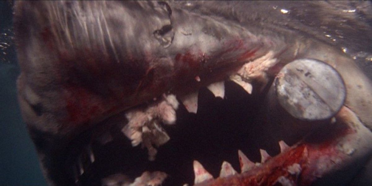 Shark with oxygen tank in its mouth in 'Jaws'
