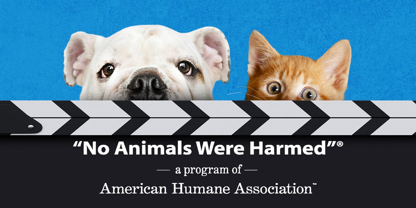 No-Animals-Were-Harmed-History