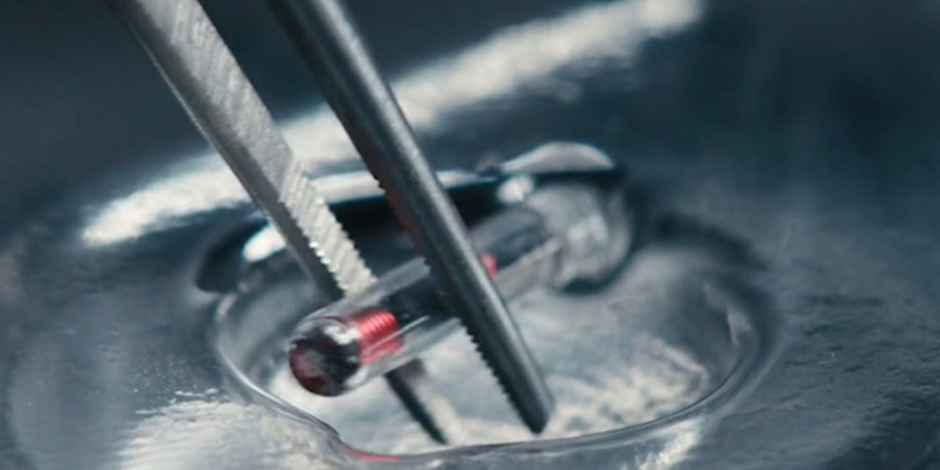 A pair of tweezers holding a microchip from "Severance"