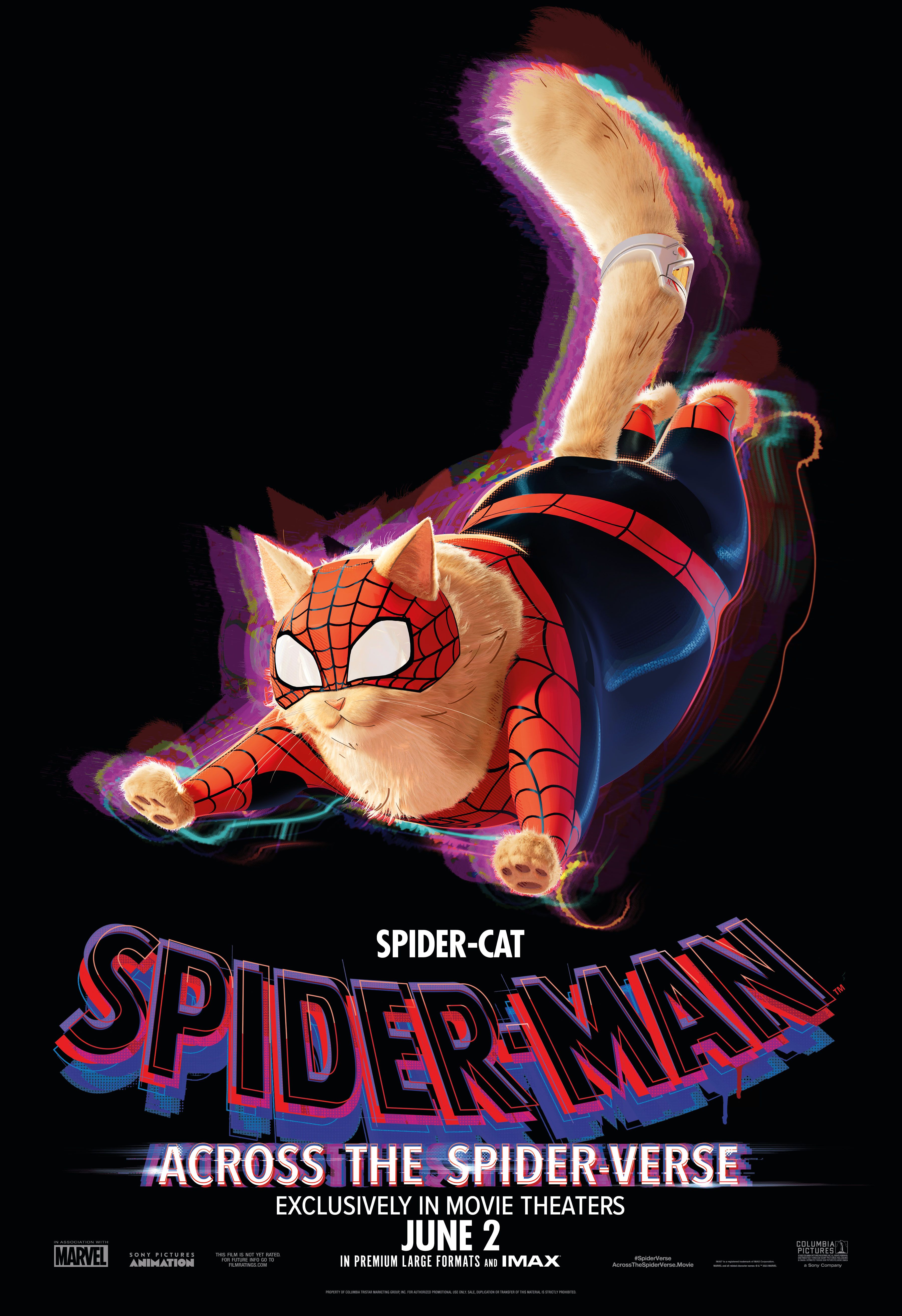 Spider-Man Across the Spider-Verse - Spider-Chat