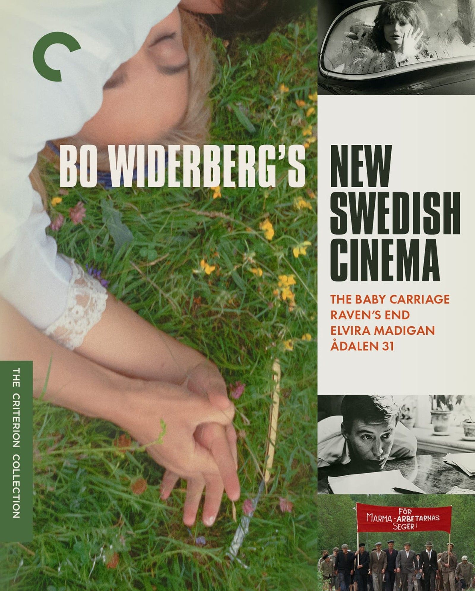 bo wider berg criterion