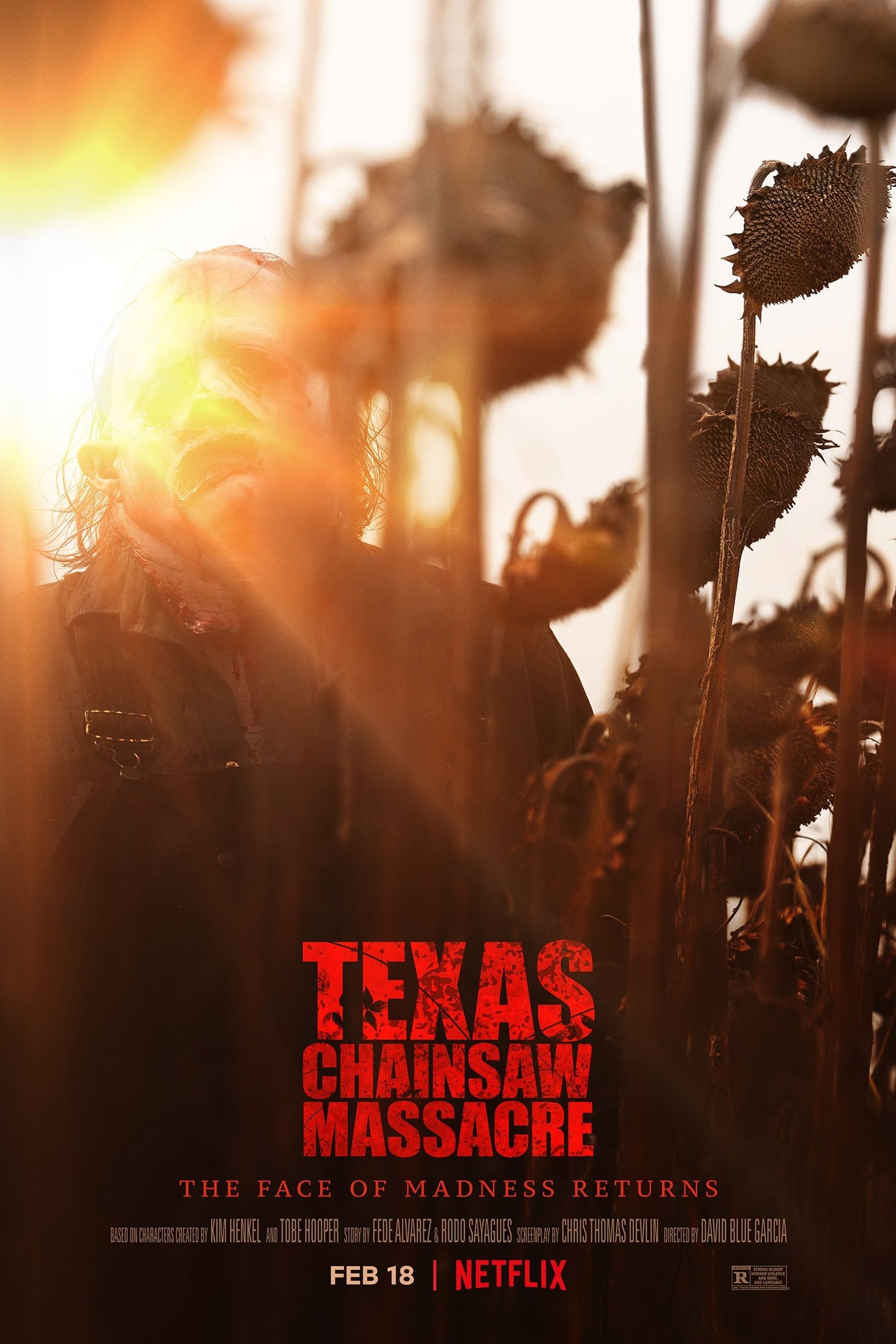 Texas Chainsaw Massacre Film Poster