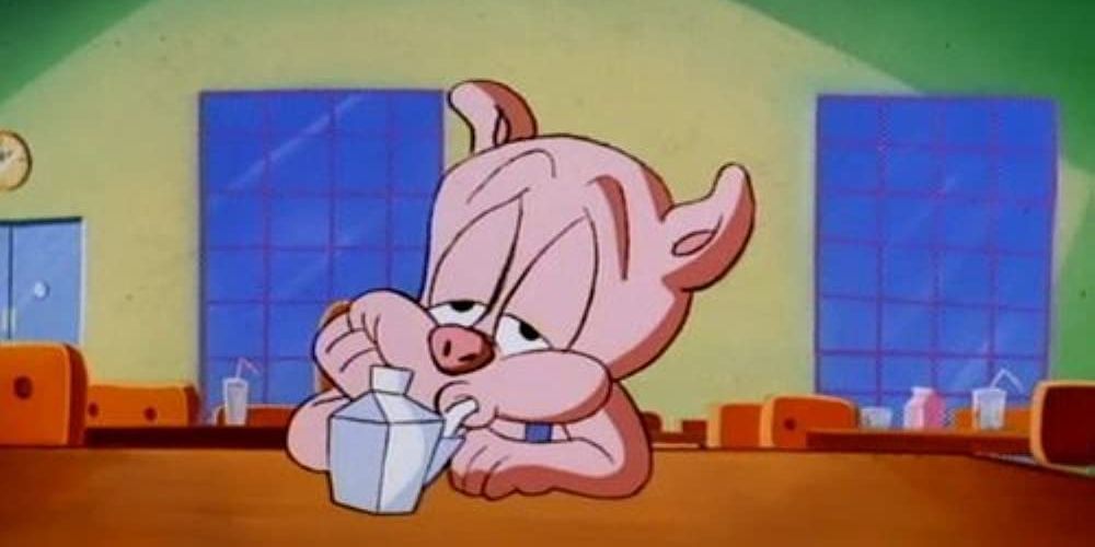 Hampton J. Pig sips his milk, lost in thought