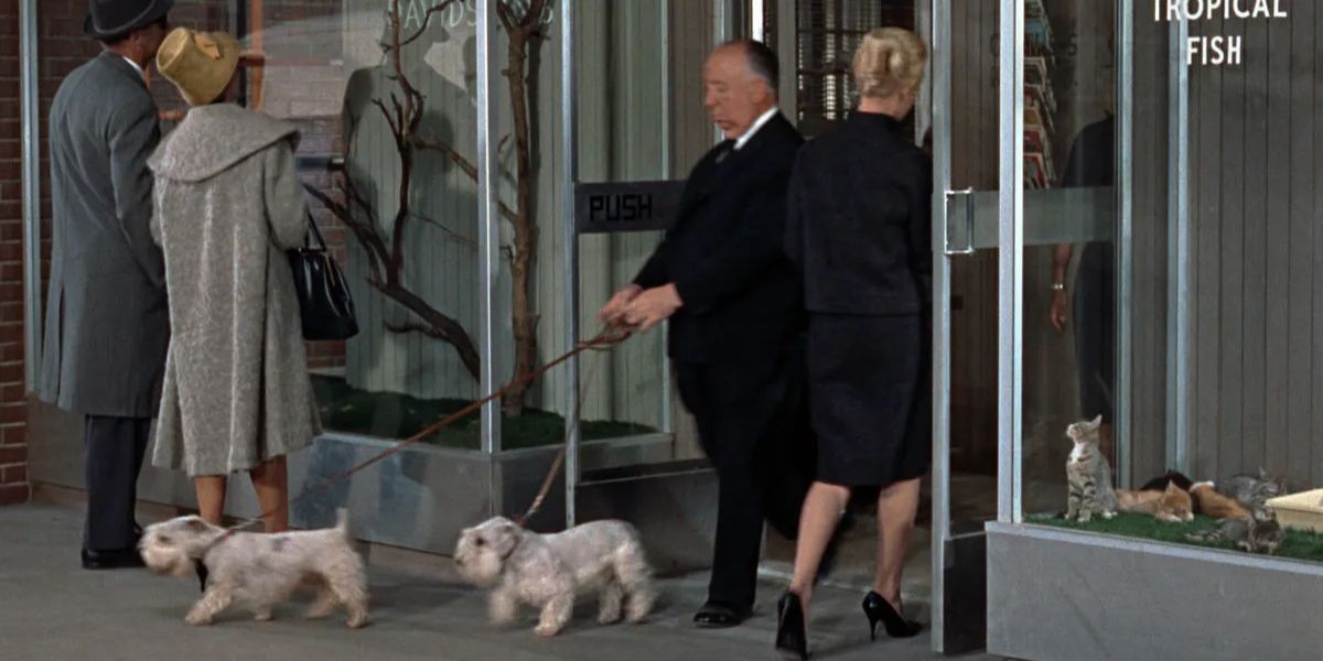 Alfred Hitchcock cameos with his two Sealyham Terriers in The Birds