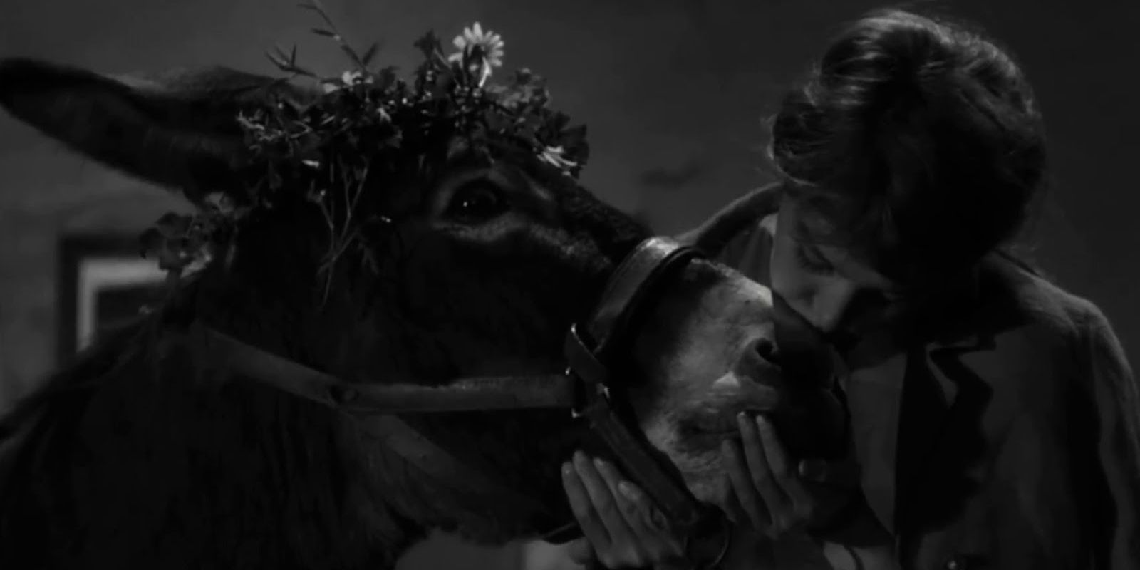 A young woman kisses her beloved donkey on the nose in 'Au Hasard Balthazar'