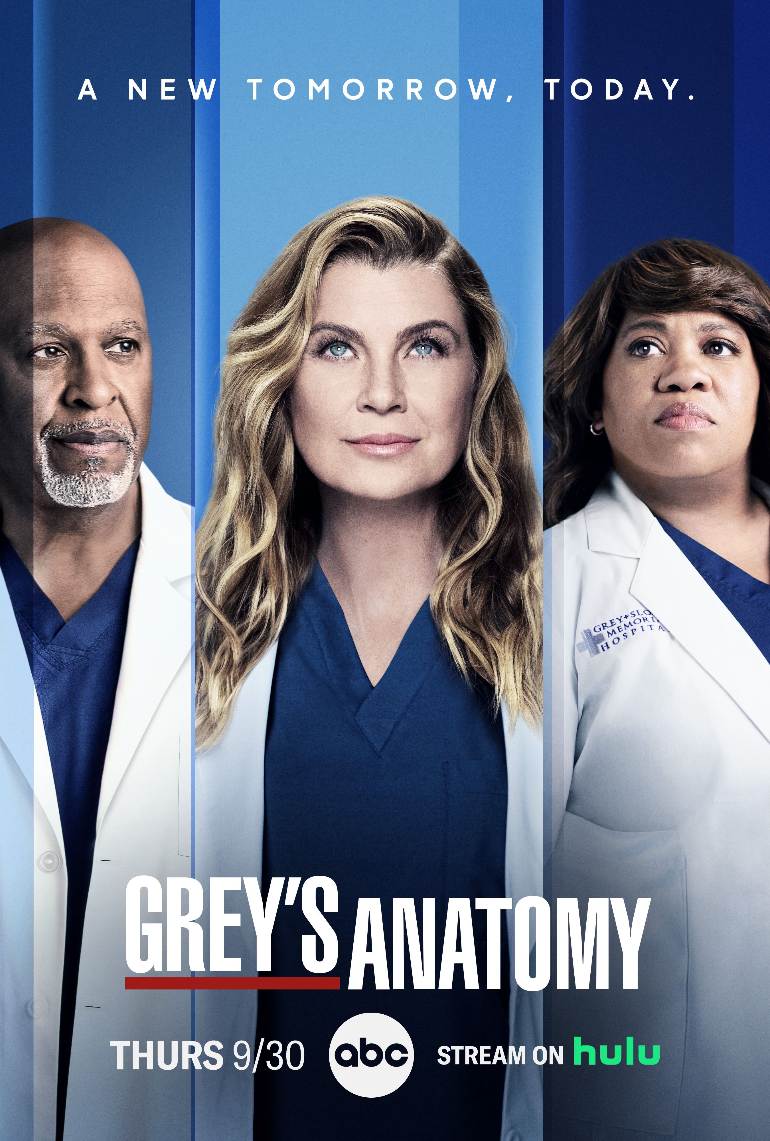 Programa de televisión Grey's Anatomy Póster