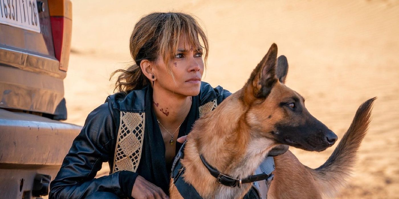 Halle Berry set for return as Chad Stahelski confirms plans