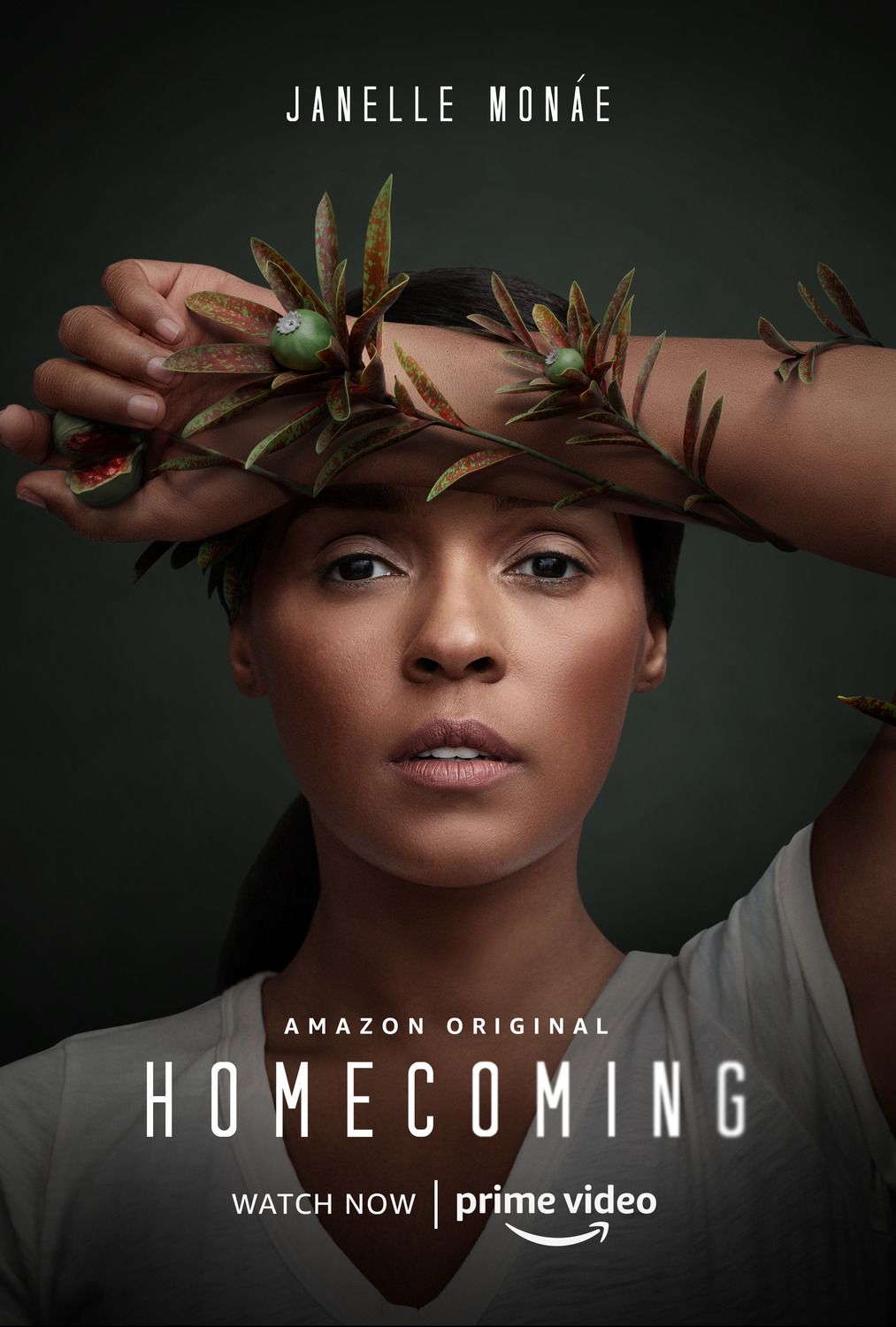 Homecoming TV Show Poster