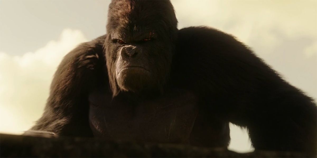 Gorilla Grodd in Legends of Tomorrow