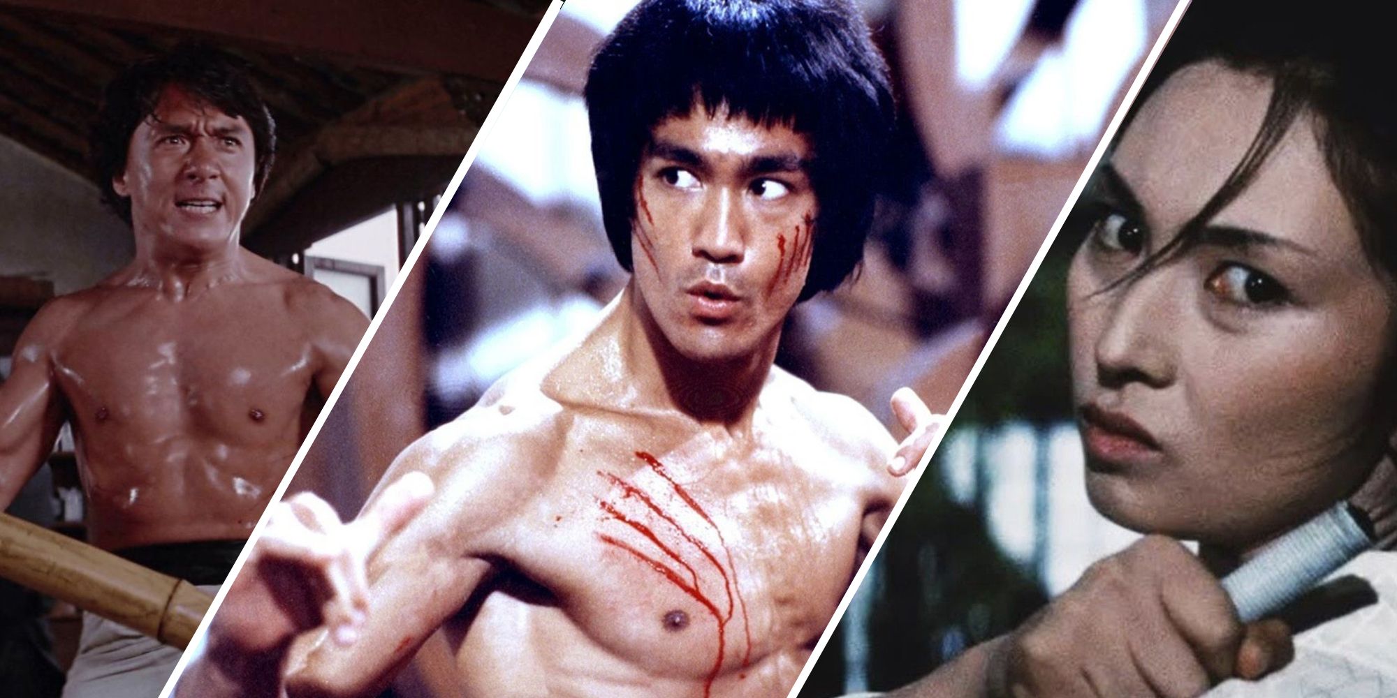 Bruce lee martial arts hot sale movies