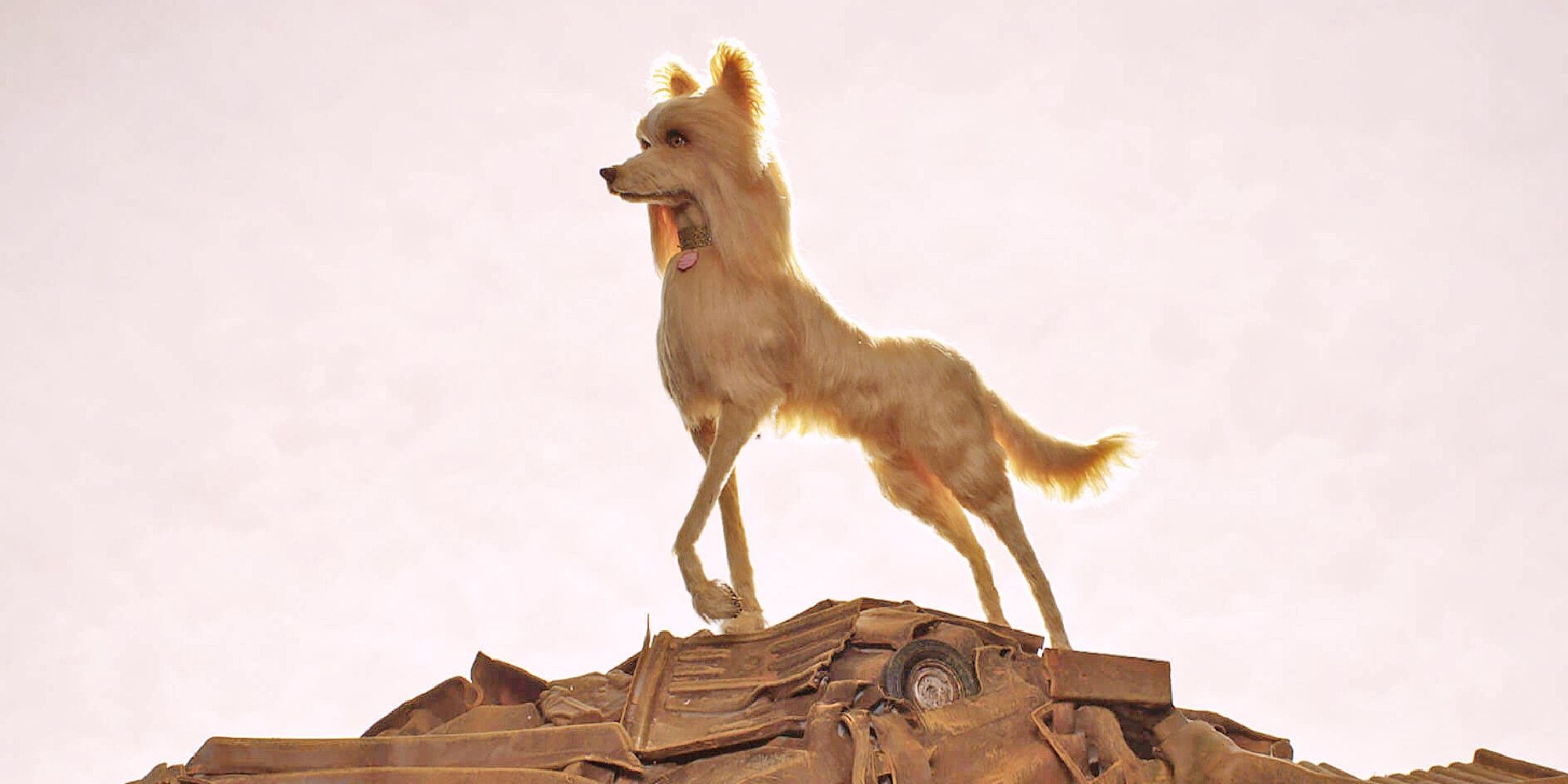 Nutmeg the dog standing proudly atop a pile of trash and looking to the distance in Isle of Dogs