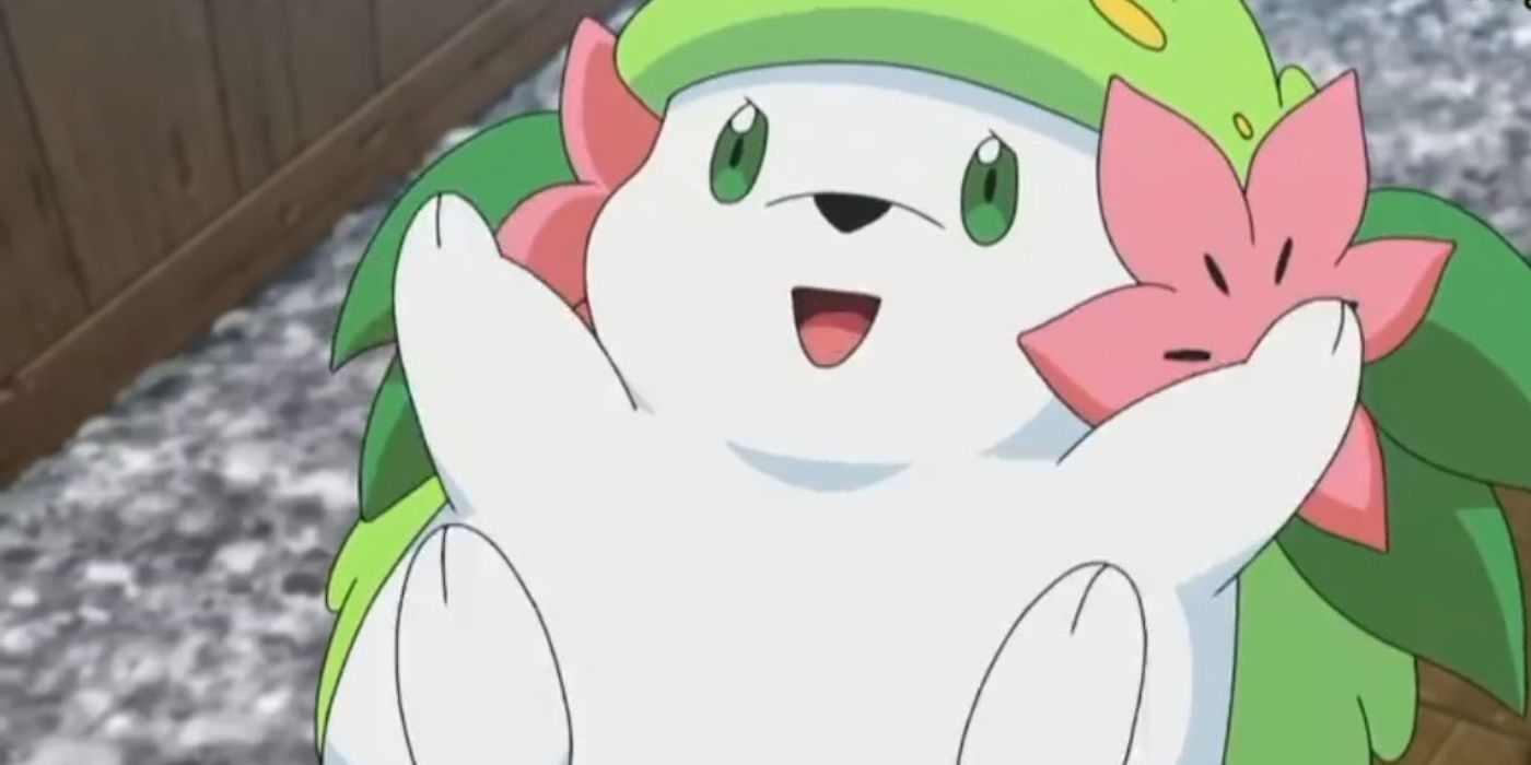Shaymin with its belly up in the Pokémon anime